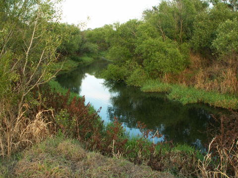 Edward W. Chance Reserve - Gilley Creek Tract Info - IMPG