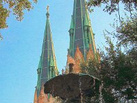 DSCF3297