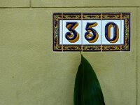 DSCF1299