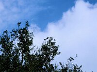 DSCF1314