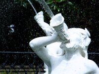 DSCF1324