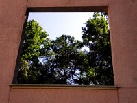 DSCF7590