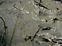 DSCF7623