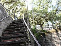 SJV 4575