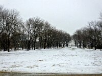 DSCF9333