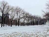 DSCF9342