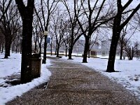 DSCF9348