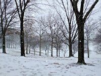 DSCF9351