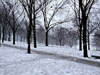 DSCF9354