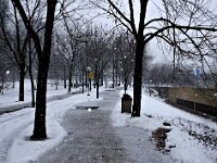 DSCF9355