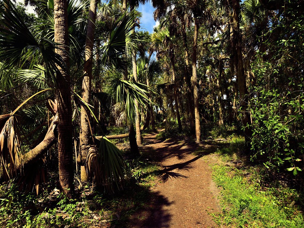 Myakka River SP 2023-0528