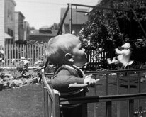 120AB--IMG00908